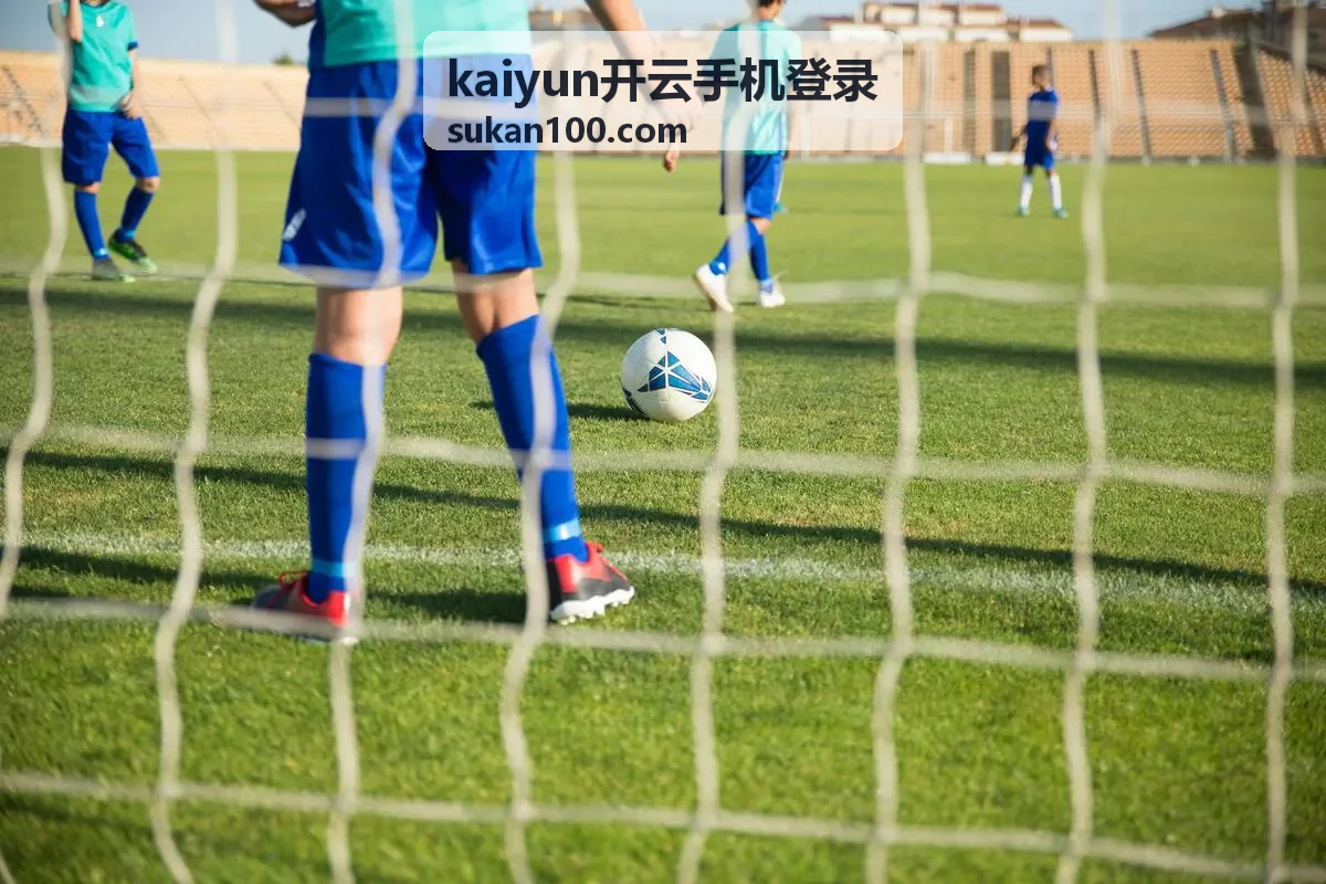 kaiyun开云手机登录在手机端显示的登录界面示意
