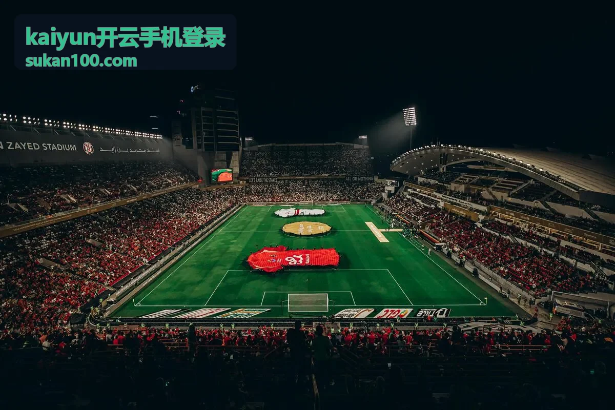 kaiyun开云手机登录验证码校验过程示意