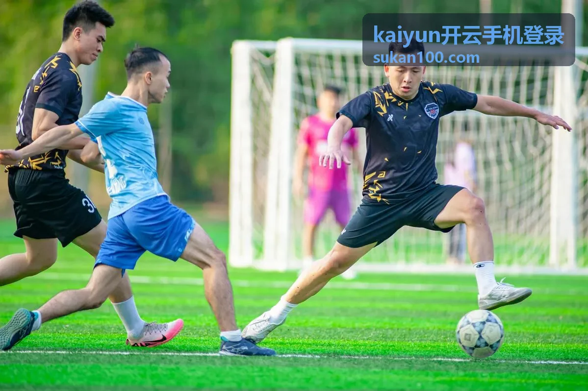 kaiyun开云手机登录登录记录核对示意
